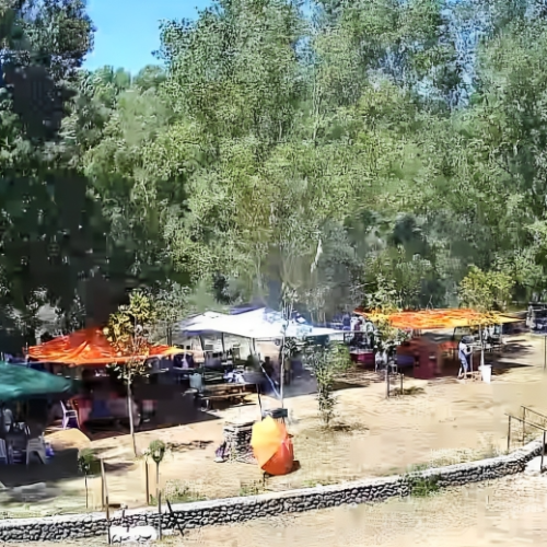 L'area picnic di giorno.