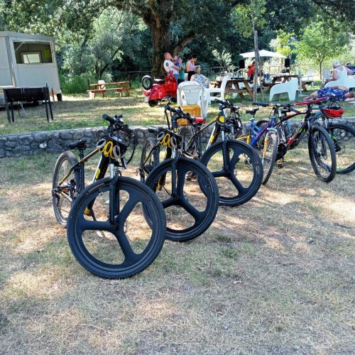 Bici elettriche e pedalata assistita di tutte le misure per un relax completo di passeggiata su 3000mq di superficie verde.